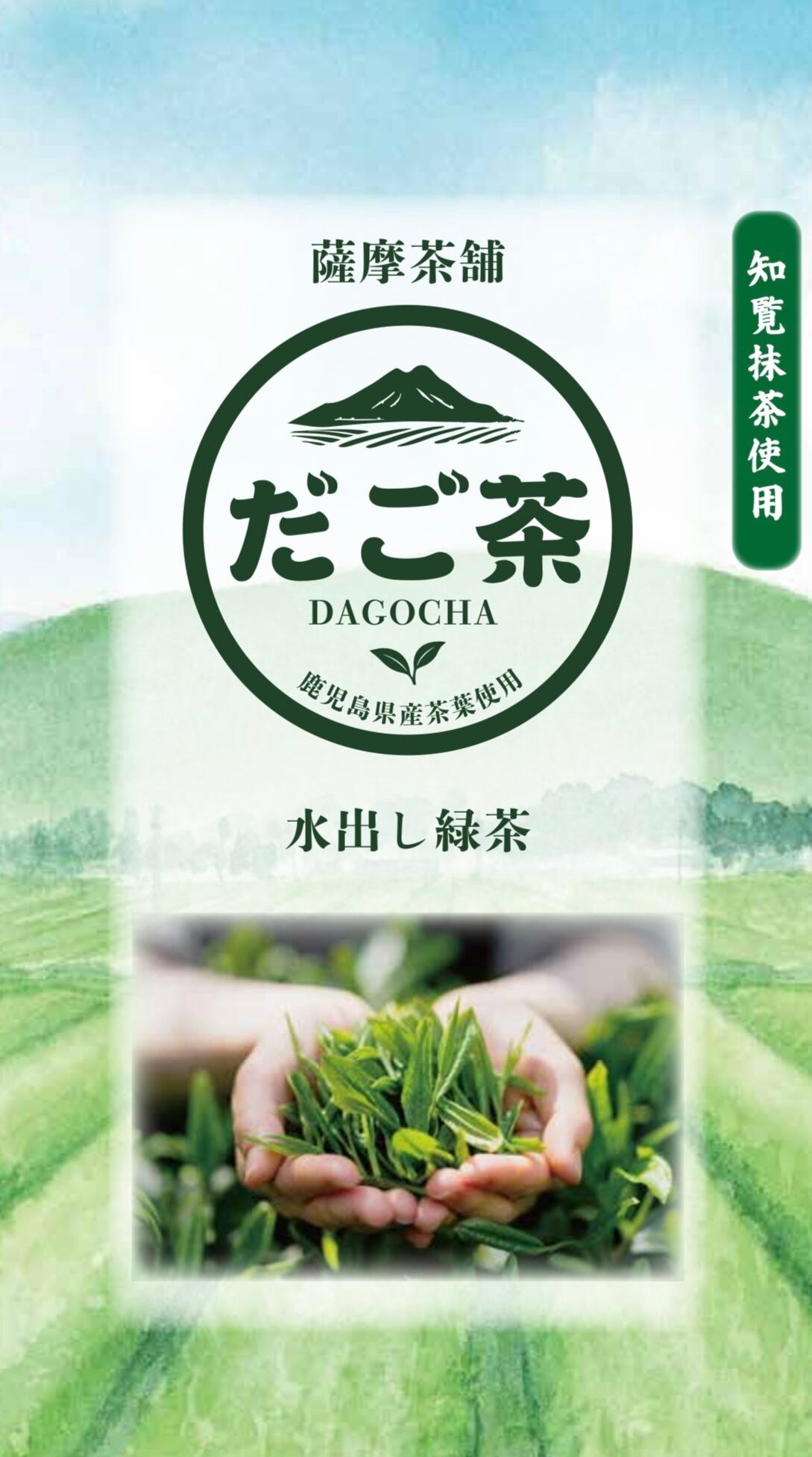 水出し緑茶